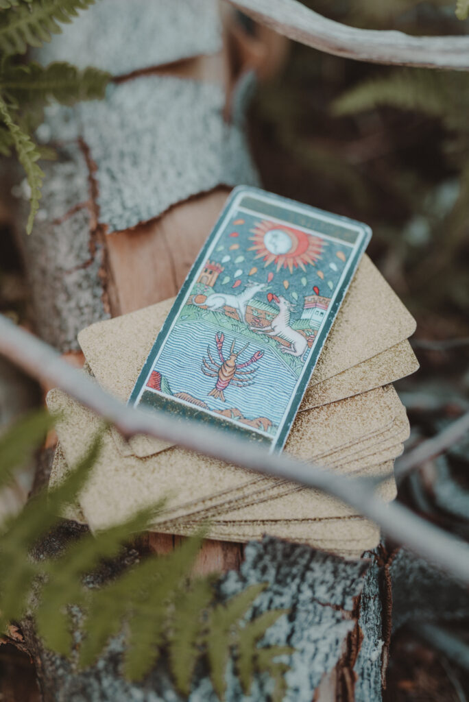 karty tarota rozłożone na pniu